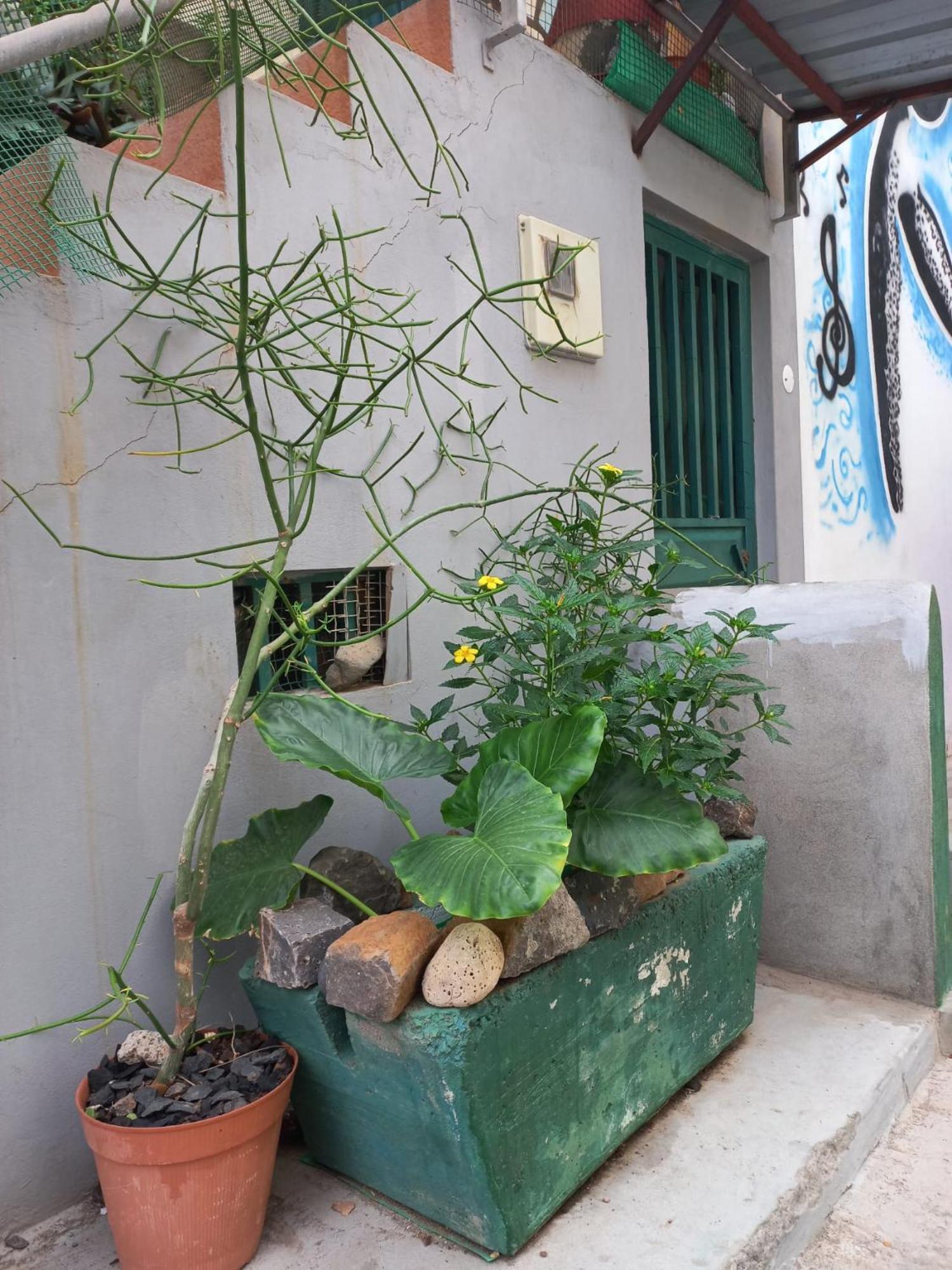 Villa Kaza Jindung à Mindelo Extérieur photo
